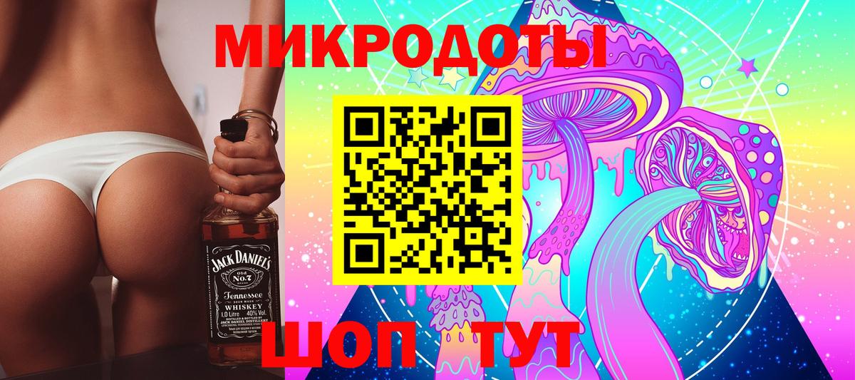 Галлюциногенные грибы Cubensis Свободный